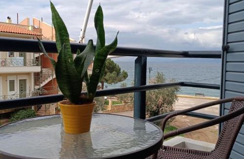 Arkitsa Apartment | Νηρηίδες