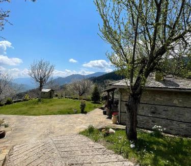 Vlacha House | Παραδοσιακή πέτρινη κατοικία στην Βλάχα Ελάτης