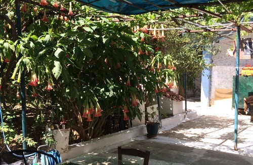 Nafplion City Centre House | ΤΟΑΡΧΟΝΤΙΚΟ ΤΟΥ ΠΕΙΡΑΤΉ