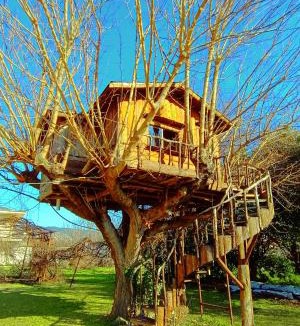 Trikala Apartment | Το Πέτρινο Σπιτάκι