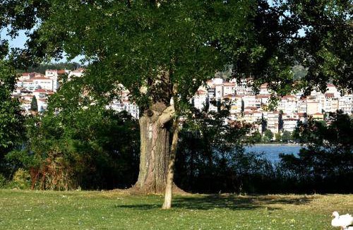 Kastoria Apartment | 110 m² Apartment ∙ 3 bedrooms ∙ 5 guests