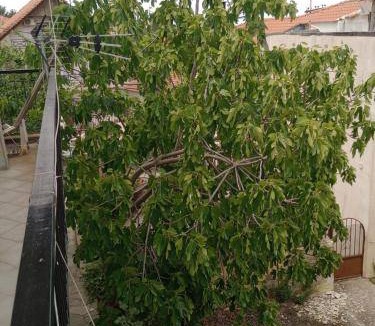 Pylaia-Chortiatis Bed & Breakfast | 14 m² Bed and breakfast ∙ 1 bedroom ∙ 2 guests