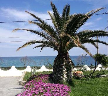 Kato Vrontou Bed & Breakfast | 20 m² Bed and breakfast ∙ 3 guests