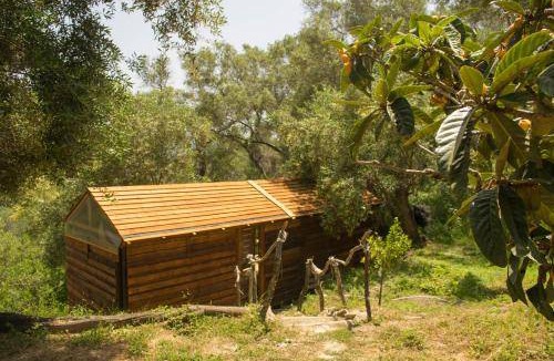 Pelekas Cabin | 20 m² Lodge ∙ 2 guests