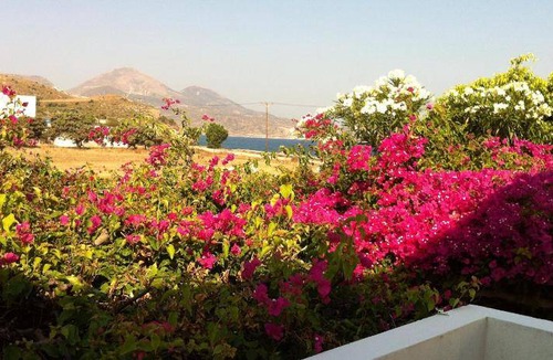 Milos Bed & Breakfast | 22 m² Bed and breakfast ∙ 3 guests