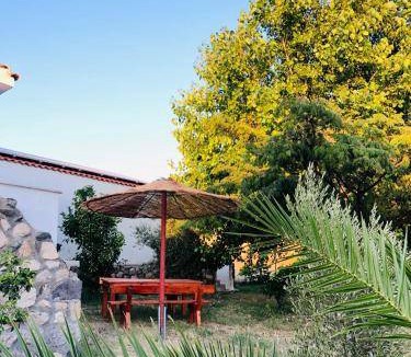 Kamariotissa Bed & Breakfast | 25 m² Bed and breakfast ∙ 3 guests