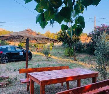 Kamariotissa Bed & Breakfast | 25 m² Bed and breakfast ∙ 3 guests