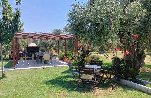 Megalos Prinos Hotel | 28 m² Hotel ∙ 3 guests