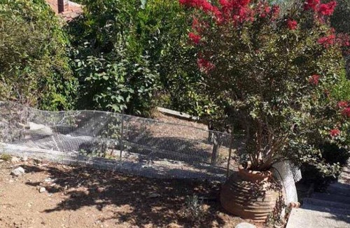 Lefokastron Bed & Breakfast | 30 m² Bed and breakfast ∙ 3 guests
