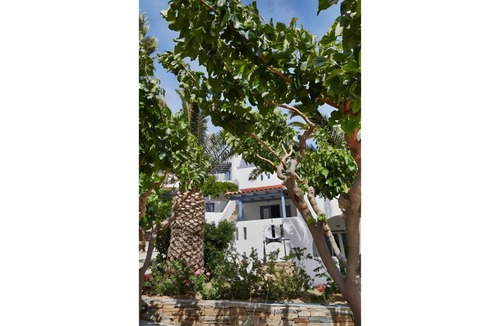 Gavrio Apartment | 30 m² Studio flat ∙ 1 bedroom ∙ 3 guests
