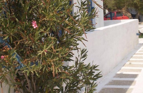 Ios Bed & Breakfast | 35 m² Bed and breakfast ∙ 3 guests