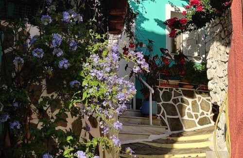 Dafnata Apartment | 40 m² Apartment ∙ 1 bedroom ∙ 2 guests