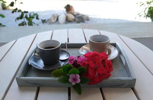 Naxos Apartment | 45 m² Serviced apartment ∙ 4 guests