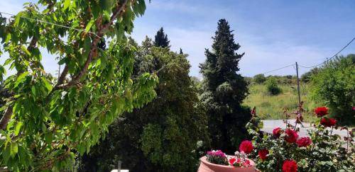 Agios Petros Apartment | 50 m² Apartment ∙ 1 bedroom ∙ 5 guests