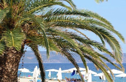 Sithonia Hotel | 50 m² Hotel ∙ 2 bedrooms ∙ 127 guests