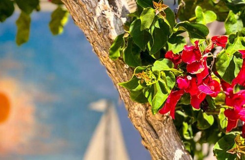 Stegna Apartment | 55 m² Apartment ∙ 2 bedrooms ∙ 6 guests