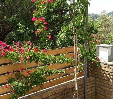 Dhrakata House | 70 m² House ∙ 2 bedrooms ∙ 4 guests