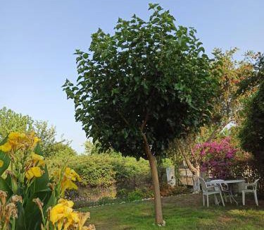 Kanali House | 76 m² House ∙ 2 bedrooms ∙ 6 guests