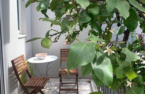 Chalandri House | 78 m² House ∙ 1 bedroom ∙ 3 guests