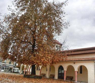 Grevena House | 90 m² House ∙ 2 bedrooms ∙ 6 guests
