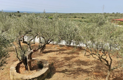 Alexandroupoli Villa | A tastefully decorated rustic country housenPet friendly - ideal for families