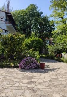 Kokkari Apartment | Alekos Rooms and Apartments