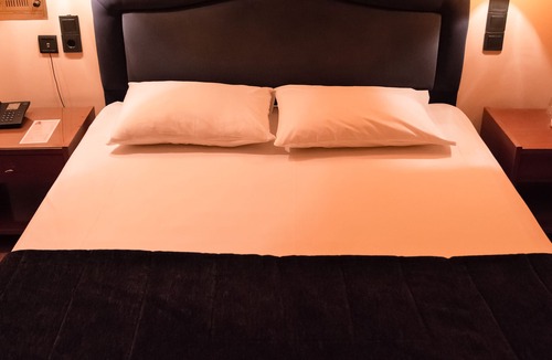 Nikaia-Agios Ioannis Rentis Hotel | Alfa Hotel