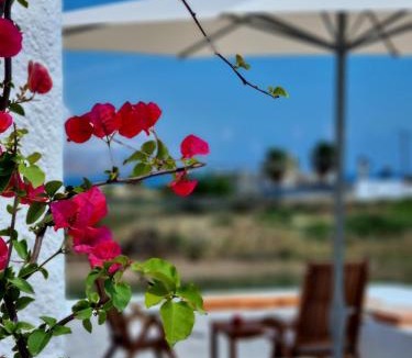 Trachilos House | All Season Lovely Seafront Cottage