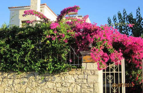 Prines Villa | Aloe & Lotus Villas