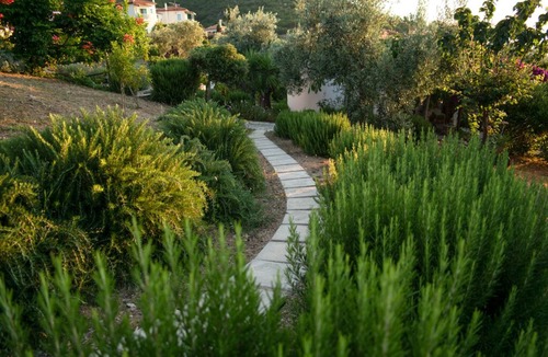 Steni Vala Apartment | ALOE STUDIO - Flower Houses in Alonissos island