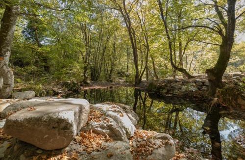 Elatochori Hotel | Alseides Boutique Hotel & Spa