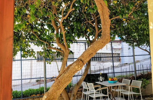 Rhodes Town Apartment | Amazing apartment 100 meters from the Old Town. 131047914