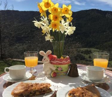 Synikia Mesi Trikalon House | Anarada Guesthouse