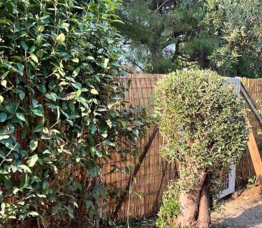 Pydna House | Ancient Pydna Paradise