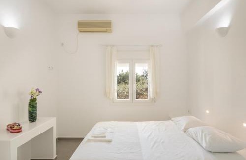 Drios Apartment | Andriana's 1 - Cycladic Home with Garden , Paros