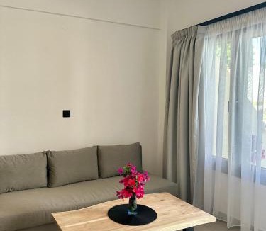 Chalikounas Apartment | Anemmos Halikounas Beach