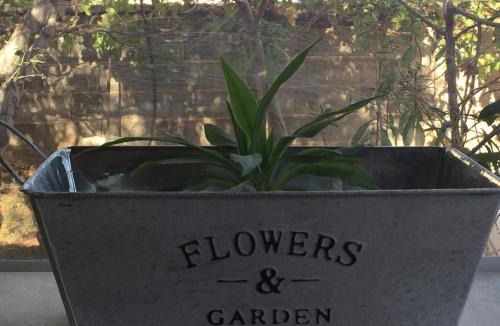 Stavros House | Anni House in Stavros