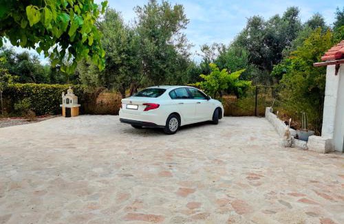 Pylos-Nestoras House | Antheia