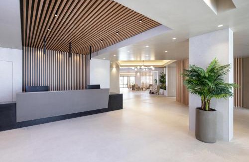 Lambi Hotel | Apollon Hotel