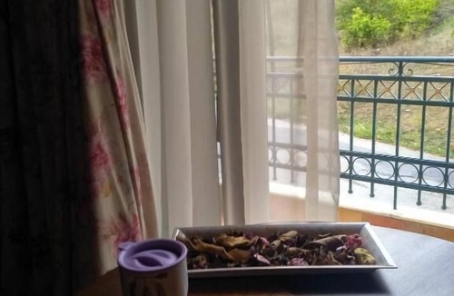 Kalavrita Apartment | Aristarchos Lodge