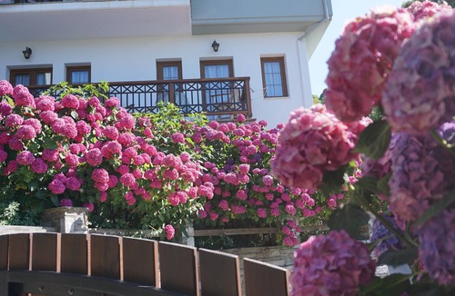 Tsagarada House | Artemisia Guesthouse