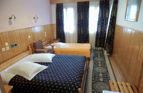 Metsovo Hotel | Asteri Metsovou