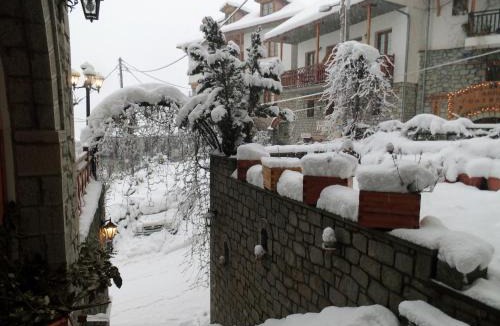 Metsovo Hotel | Asteri Metsovou