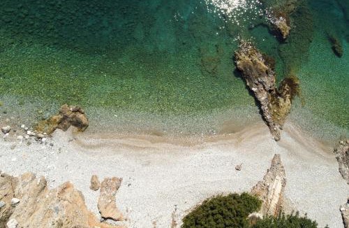 Paralia House | Astros Beach house within an olive farm