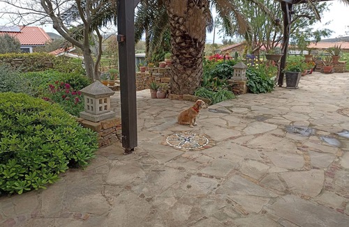 Mirina Cottage | Ataraxia at Saravari Beach - Olive House is one of two renovated stone cottages.