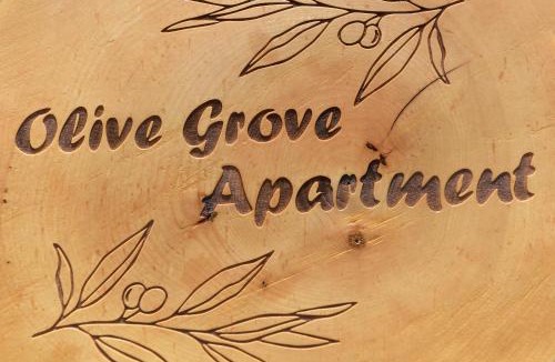 Faliraki Apartment | Athina's Apartment in Olive Grove