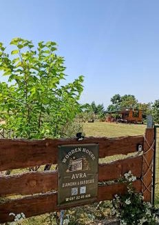 Drama Apartment | Avra Wooden House