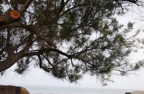 Stavromenos Villa | Beach 5 meters from the garden, sea view, amenities, quiet, 9-12 people.