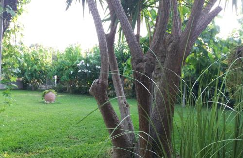 Katakolo House | Beach House for up to 9 people near Famous Sporting Event