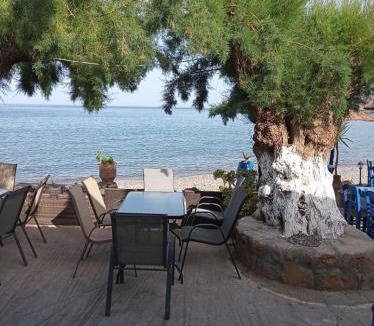 Sitia Apartment | Beachfront Apartment Kato Zakros